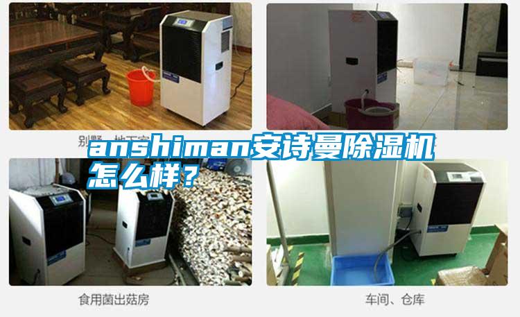 anshiman安詩曼除濕機怎么樣？