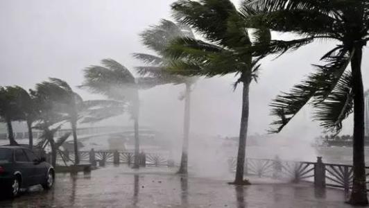 8月臺風雨即將來，除濕機還得用起來