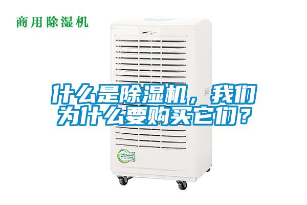 什么是除濕機，我們為什么要購買它們？