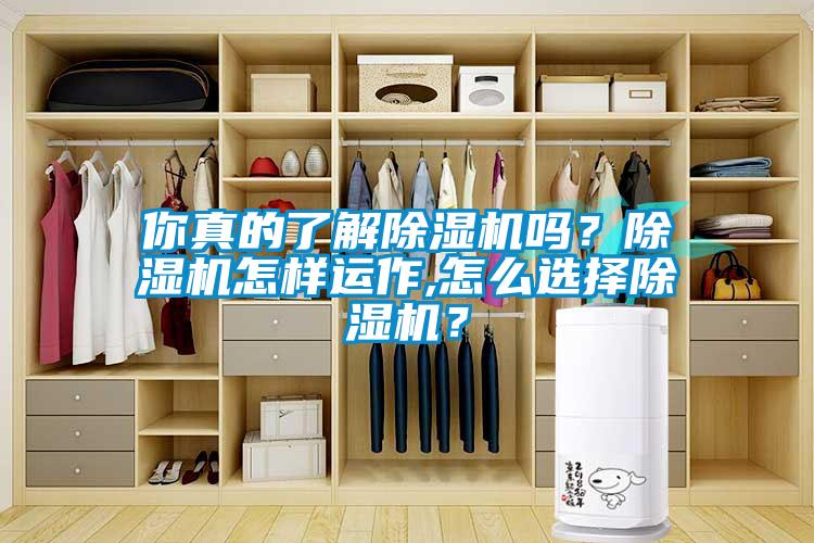 你真的了解除濕機嗎？除濕機怎樣運作,怎么選擇除濕機？