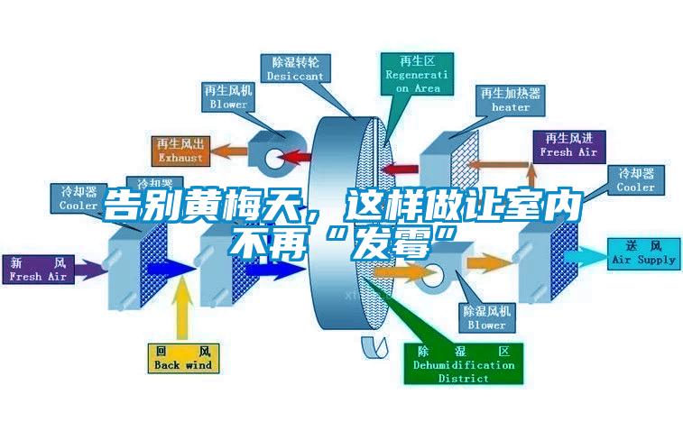 告別黃梅天，這樣做讓室內(nèi)不再“發(fā)霉”