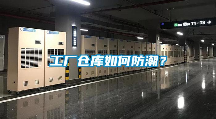 水力發(fā)電廠使用安詩曼除濕機(jī)擺脫潮濕煩惱