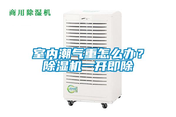 室內(nèi)潮氣重怎么辦？除濕機(jī)一開即除