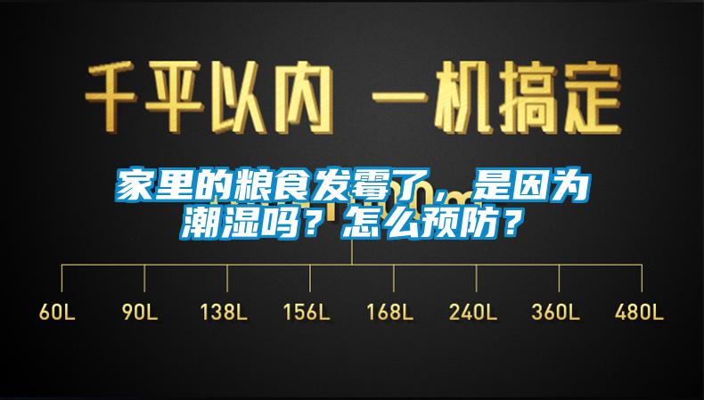 家里的糧食發霉了，是因為潮濕嗎？怎么預防？