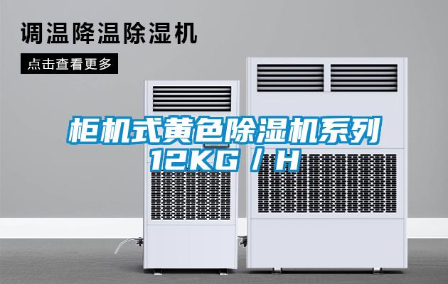 柜機式黃色除濕機系列12KG／H