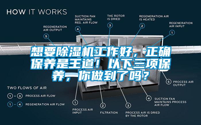 想要除濕機工作好，正確保養是王道！以下三項保養，你做到了嗎？