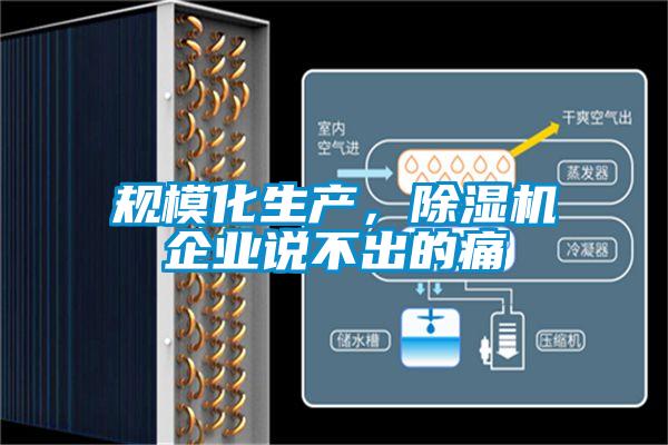規(guī)模化生產(chǎn)，除濕機(jī)企業(yè)說(shuō)不出的痛