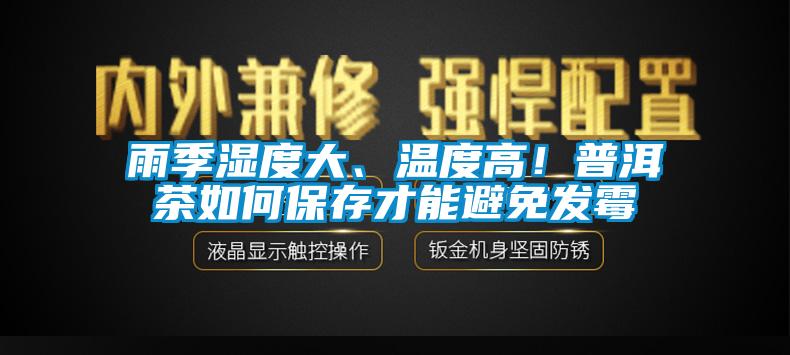 雨季濕度大、溫度高！普洱茶如何保存才能避免發霉