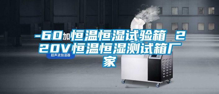 -60℃恒溫恒濕試驗(yàn)箱 220V恒溫恒濕測試箱廠家