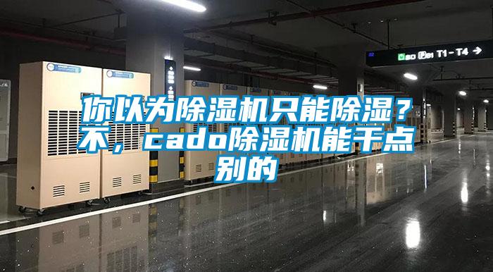 你以為除濕機只能除濕？不，cado除濕機能干點別的