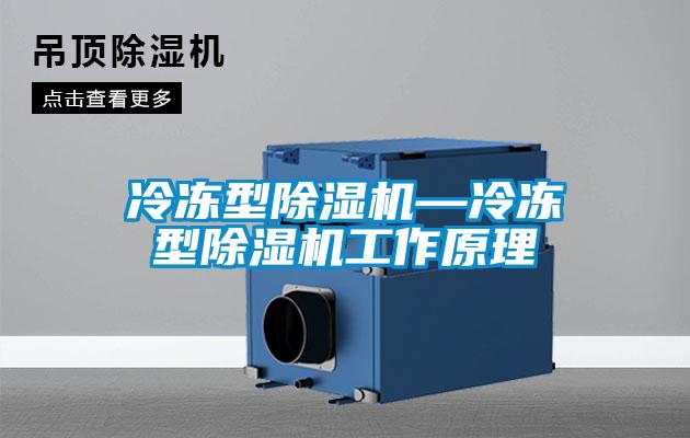 冷凍型除濕機—冷凍型除濕機工作原理