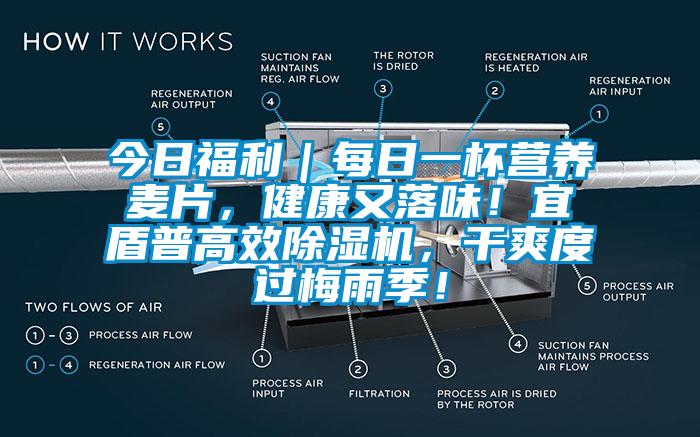 今日福利｜每日一杯營養麥片，健康又落味！宜盾普高效除濕機，干爽度過梅雨季！