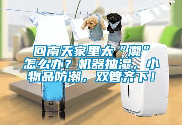 回南天家里太“潮”怎么辦？機器抽濕，小物品防潮，雙管齊下！