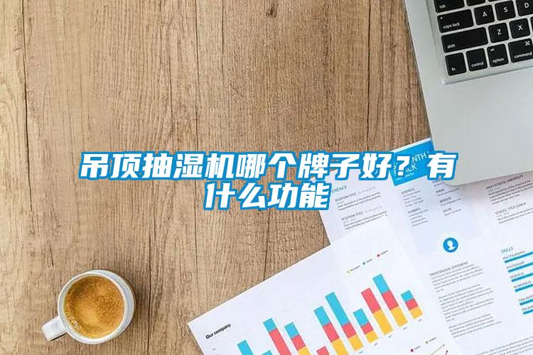 吊頂抽濕機哪個牌子好？有什么功能