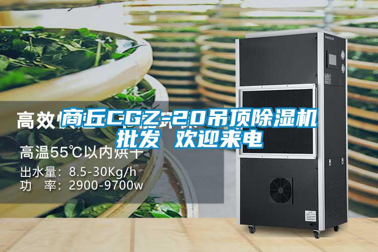 商丘CGZ-20吊頂除濕機批發 歡迎來電