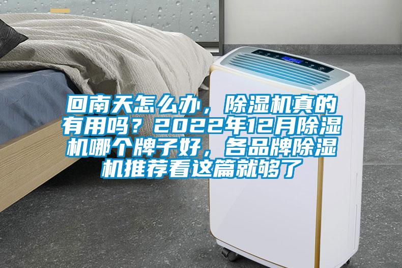 回南天怎么辦，除濕機真的有用嗎？2022年12月除濕機哪個牌子好，各品牌除濕機推薦看這篇就夠了