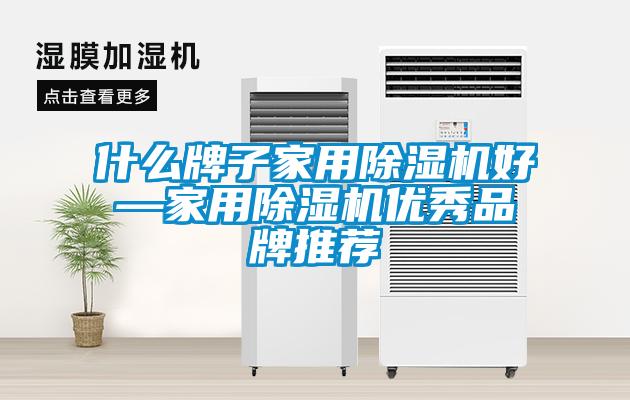 什么牌子家用除濕機好—家用除濕機優秀品牌推薦