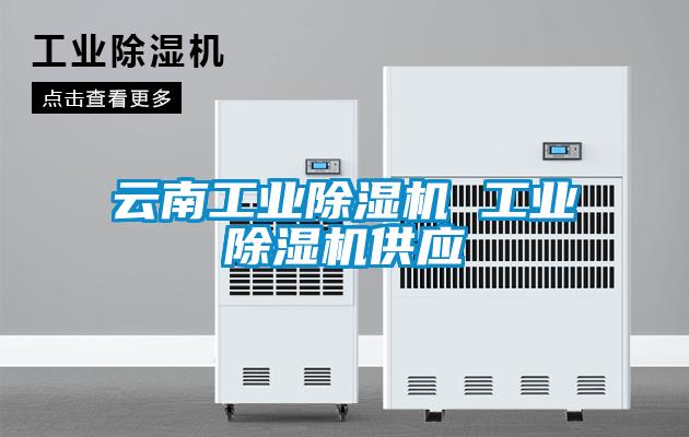 云南工業除濕機 工業除濕機供應