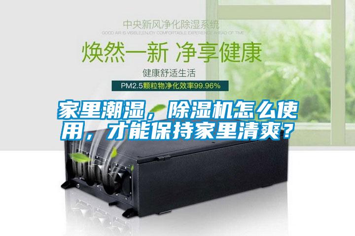 家里潮濕，除濕機怎么使用，才能保持家里清爽？