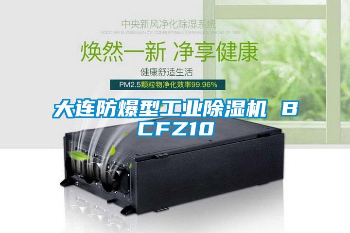 大連防爆型工業除濕機 BCFZ10