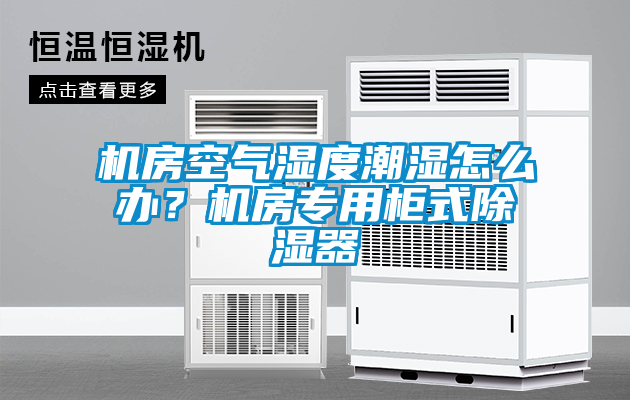 機房空氣濕度潮濕怎么辦？機房專用柜式除濕器