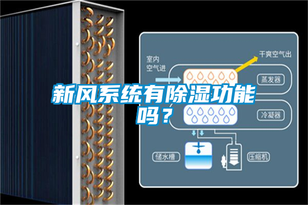 新風(fēng)系統(tǒng)有除濕功能嗎？