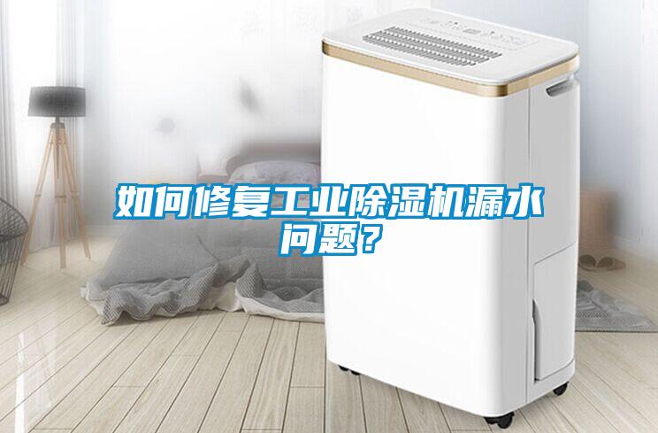 如何修復工業除濕機漏水問題？