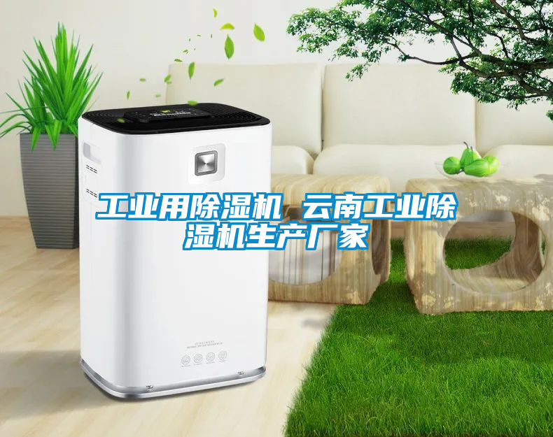 工業用除濕機 云南工業除濕機生產廠家