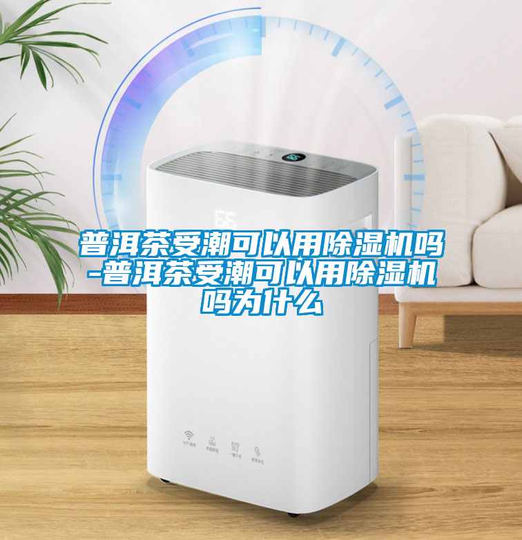 普洱茶受潮可以用除濕機嗎-普洱茶受潮可以用除濕機嗎為什么