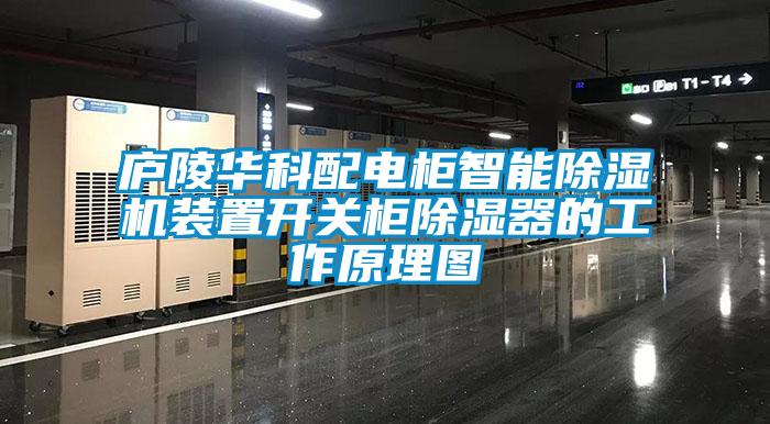 廬陵華科配電柜智能除濕機裝置開關柜除濕器的工作原理圖