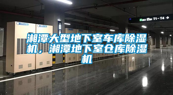 湘潭大型地下室車庫除濕機(jī)，湘潭地下室倉庫除濕機(jī)