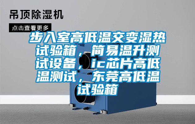 步入室高低溫交變濕熱試驗箱，簡易溫升測試設備，ic芯片高低溫測試，東莞高低溫試驗箱