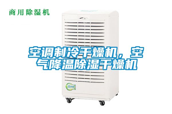 空調制冷干燥機，空氣降溫除濕干燥機