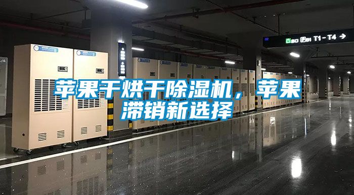 蘋果干烘干除濕機，蘋果滯銷新選擇