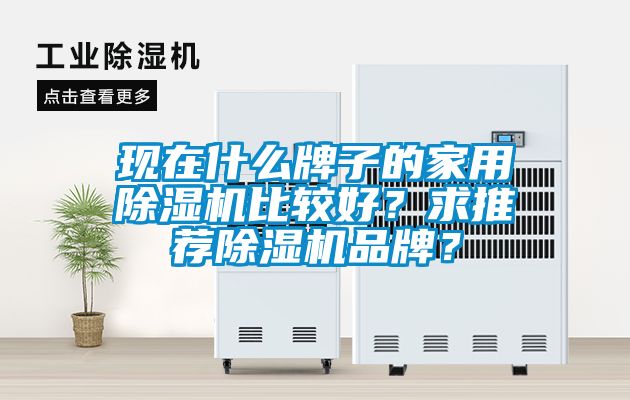 現在什么牌子的家用除濕機比較好？求推薦除濕機品牌？