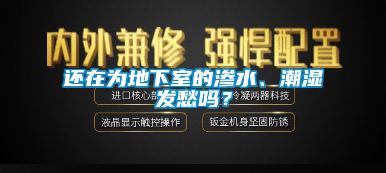 還在為地下室的滲水、潮濕發愁嗎？