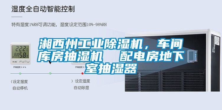 湘西州工業除濕機，車間庫房抽濕機  配電房地下室抽濕器