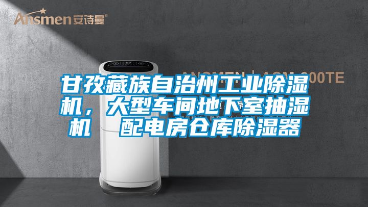 甘孜藏族自治州工業(yè)除濕機，大型車間地下室抽濕機  配電房倉庫除濕器