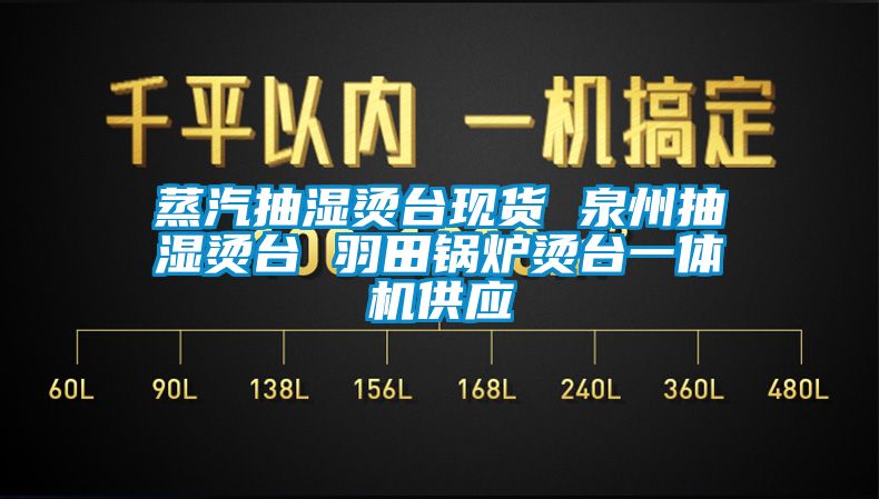 蒸汽抽濕燙臺現貨 泉州抽濕燙臺 羽田鍋爐燙臺一體機供應