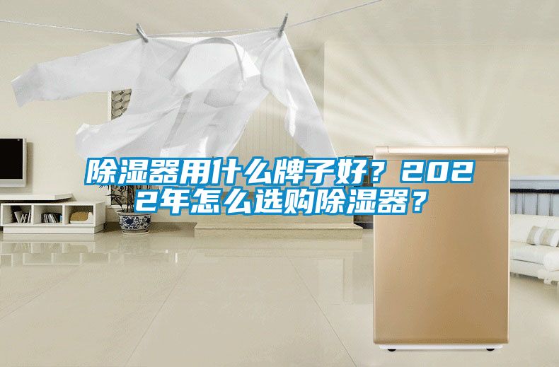 除濕器用什么牌子好？2022年怎么選購除濕器？