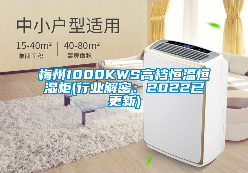 梅州1000KWS高檔恒溫恒濕柜(行業解密：2022已更新)