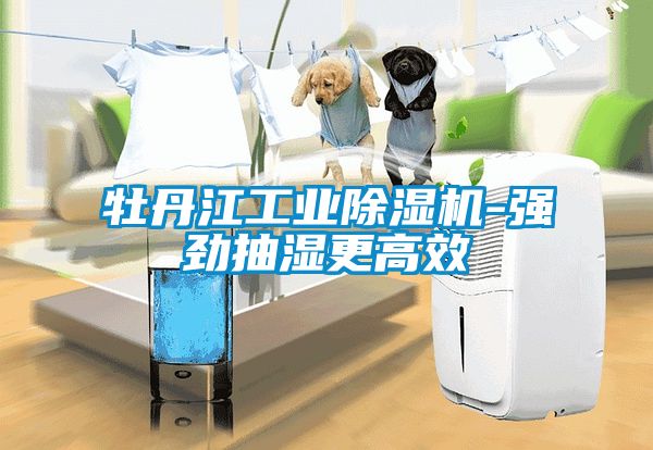 牡丹江工業除濕機-強勁抽濕更高效