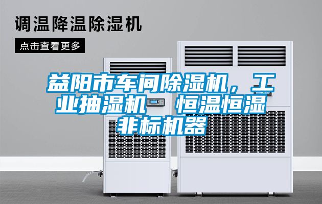 益陽市車間除濕機，工業抽濕機  恒溫恒濕非標機器