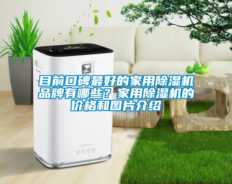 目前口碑最好的家用除濕機品牌有哪些？家用除濕機的價格和圖片介紹