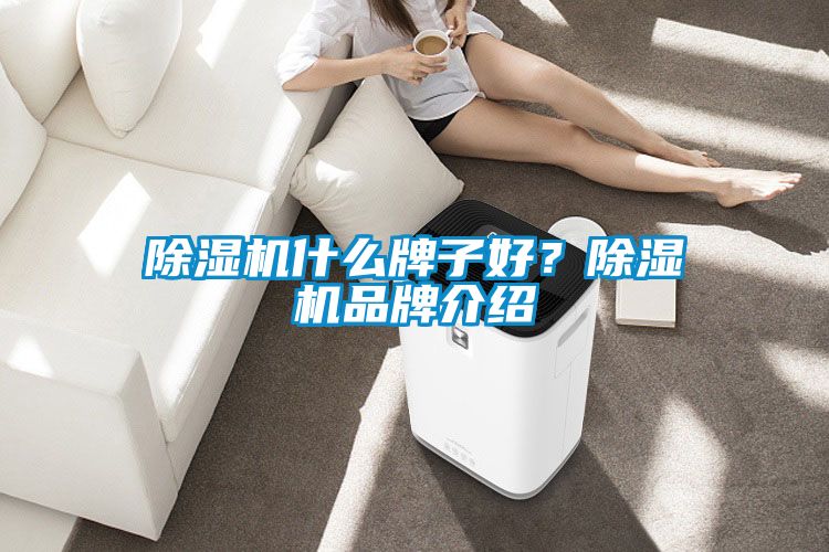 除濕機(jī)什么牌子好？除濕機(jī)品牌介紹