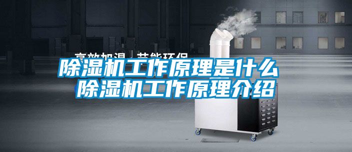 除濕機工作原理是什么 除濕機工作原理介紹