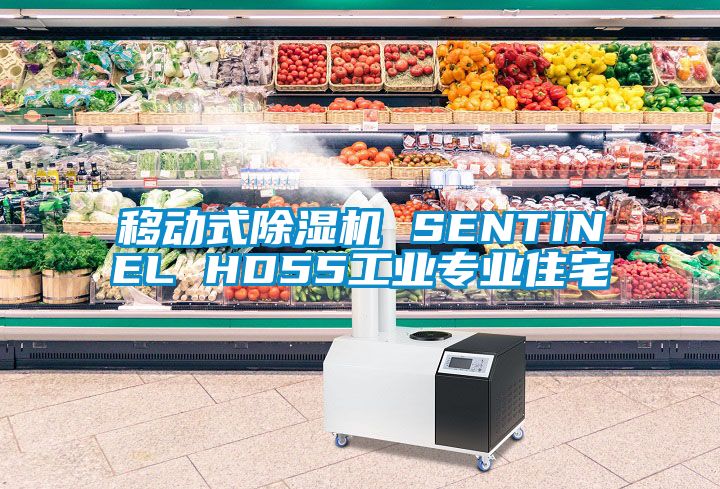 移動式除濕機 SENTINEL HD55工業專業住宅