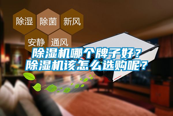 除濕機哪個牌子好？除濕機該怎么選購呢？