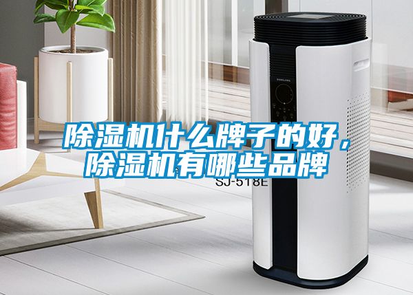 除濕機什么牌子的好，除濕機有哪些品牌