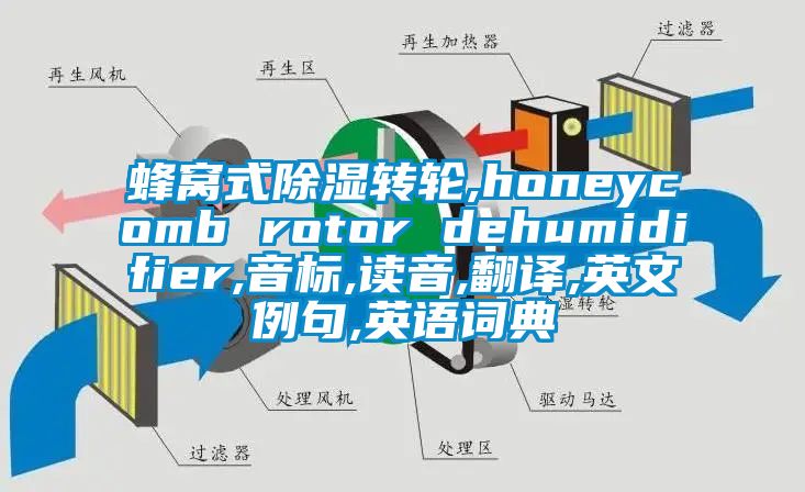 蜂窩式除濕轉(zhuǎn)輪,honeycomb rotor dehumidifier,音標(biāo),讀音,翻譯,英文例句,英語詞典